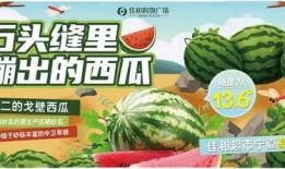 吃瓜爆料短剧吃瓜爆料大赛每日聚集地 热门大瓜在线,每日热门大瓜，聚集地揭秘
